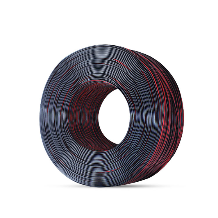 Cable electrònic d'alimentació